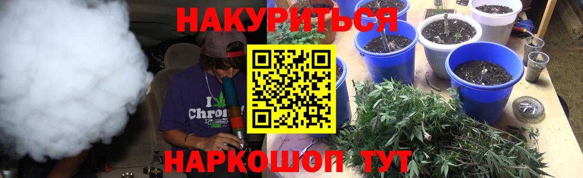 Бошки Шишки THC 21% Торжок
